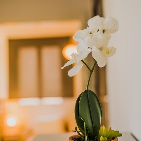 Green Apartment Ground Floor Feel Like Home Properties Saronida Exterior photo