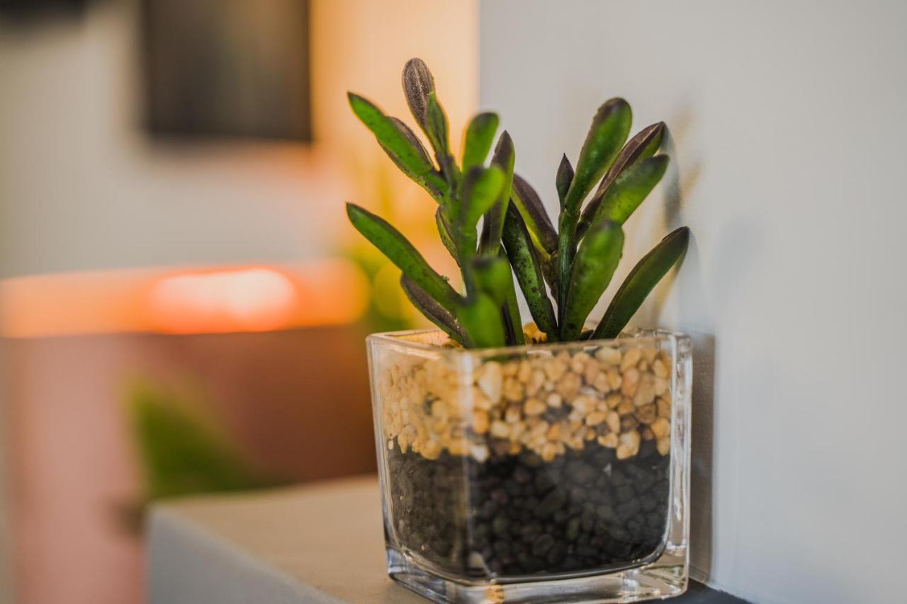 Green Apartment Ground Floor Feel Like Home Properties Saronida Exterior photo